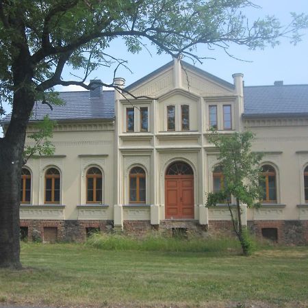 Ferienwohnung Gaensebluemchen In Buchholz Steinhofel Eksteriør billede